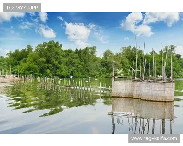 全面解析K8捕鱼图的玩法策略让你在游戏中轻松击败对手